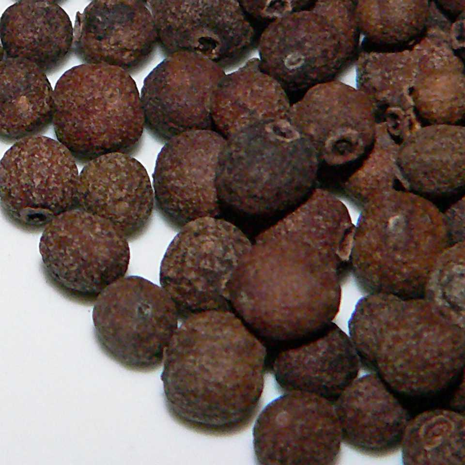 Piment